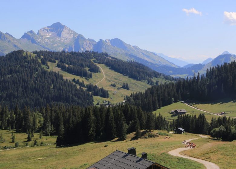 Vue depuis le Plateau de Beauregard