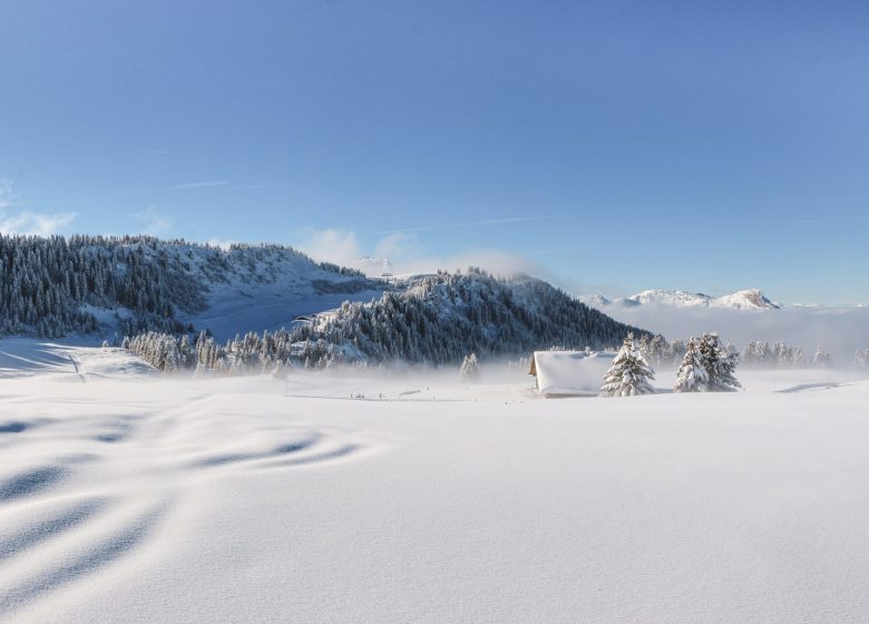 Plateau de Beauregard en hiver