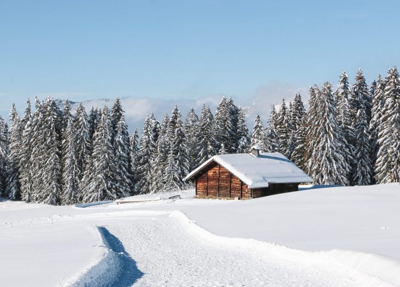 Chalet au Plateau de Beauregard en hiver