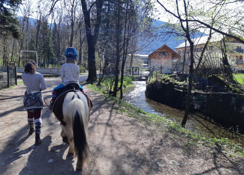 Tours de poneys à Thônes