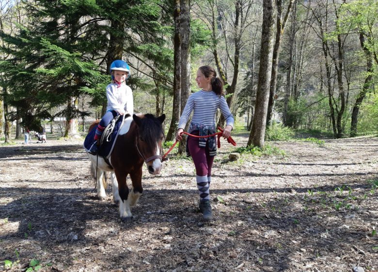 Tours de poneys à Thônes